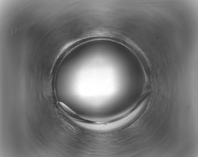 X0000066121222200603131319