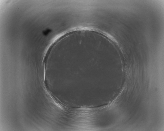 X0000066121223200603131319