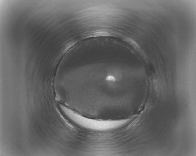 X0000066121225200603131319