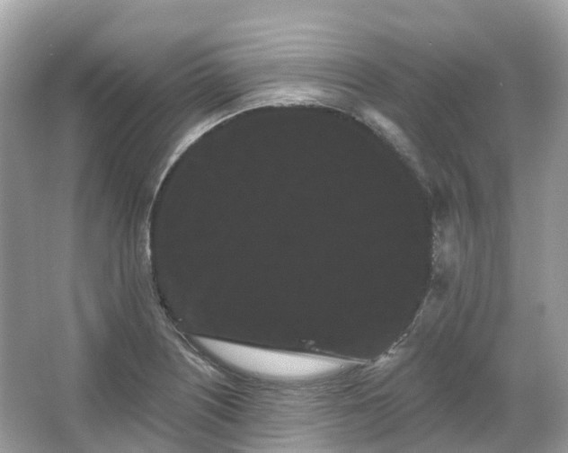 X0000066121226200603131319