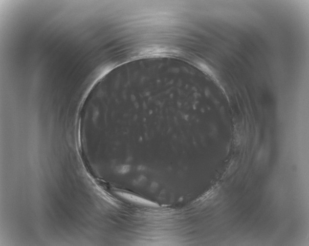 X0000066121227200603131319