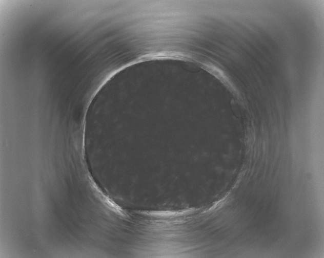 X0000066121228200603131319