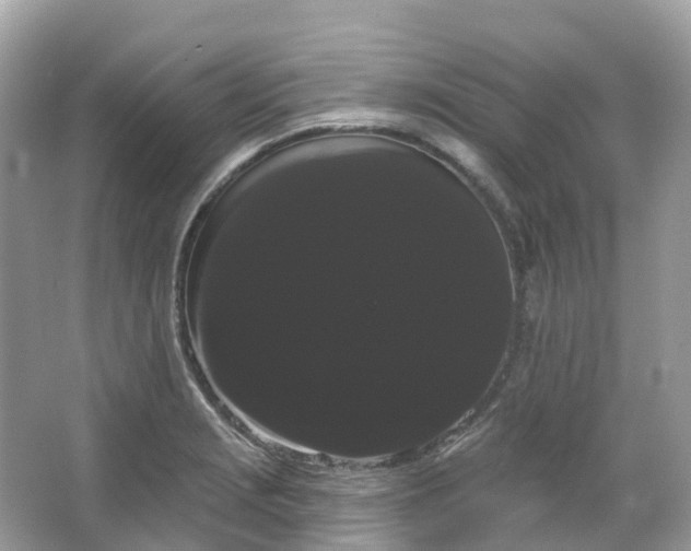 X0000066121229200603131319