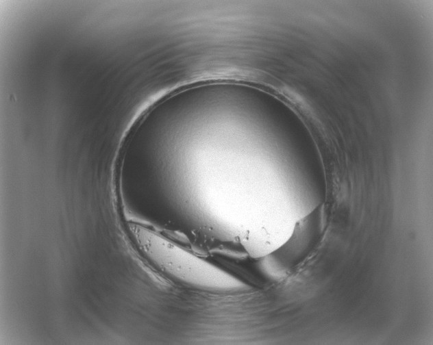 X0000066121230200603131319