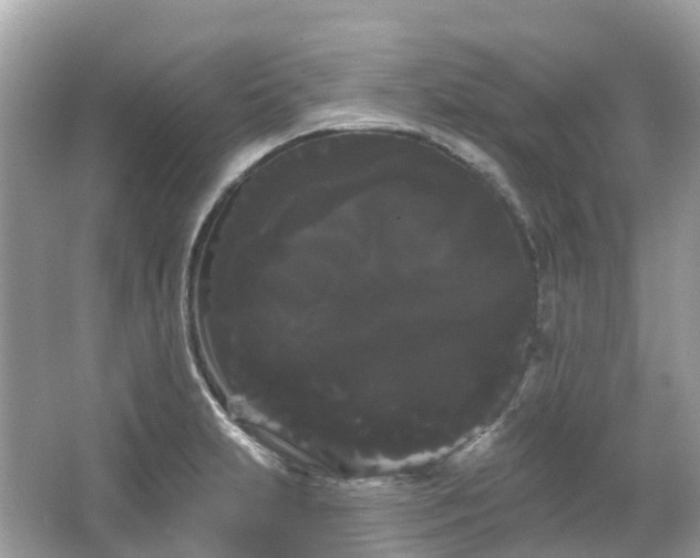 X0000066121231200603131320