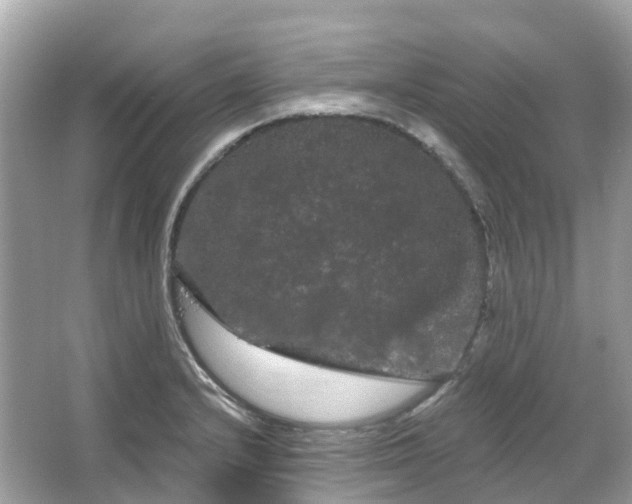 X0000066121232200603131320