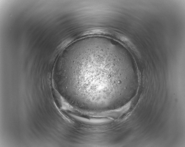 X0000066121233200603131320