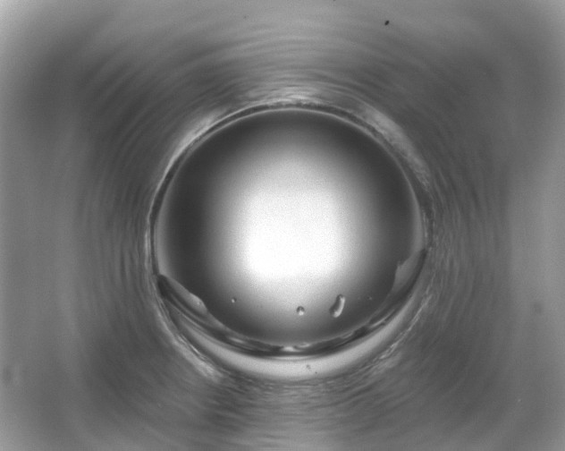 X0000066121234200603131320