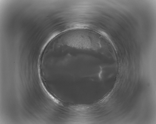 X0000066121235200603131320