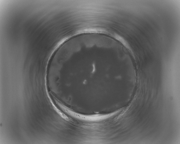 X0000066121237200603131320