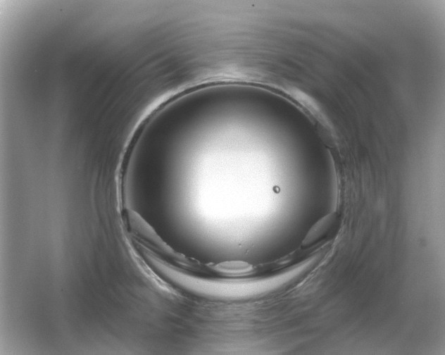 X0000066121238200603131320