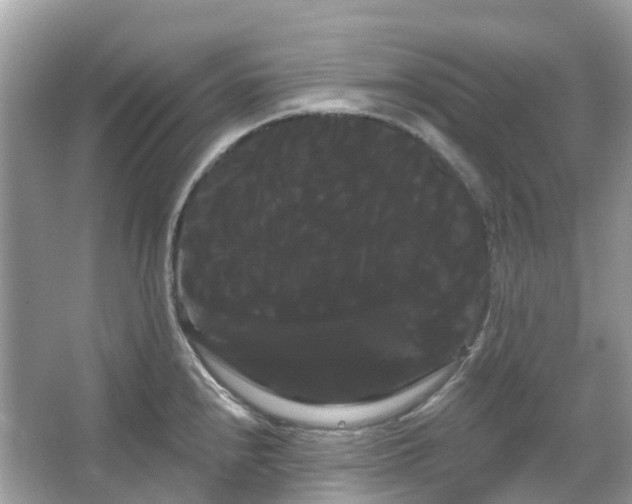 X0000066121240200603131320