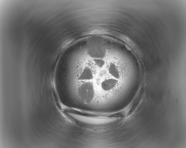 X0000066121241200603131320