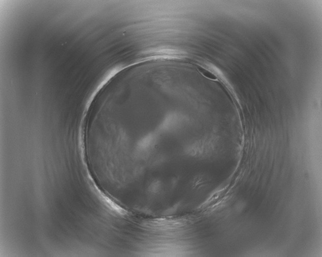 X0000066121243200603131320