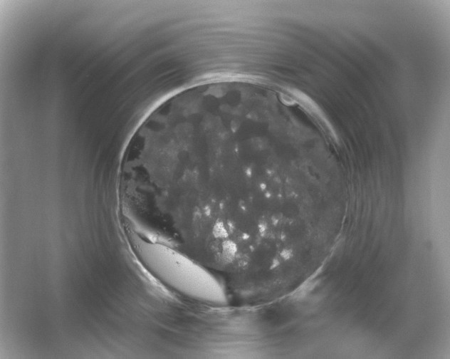 X0000066121244200603131320