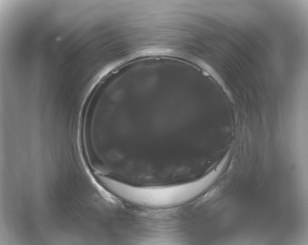 X0000066121245200603131320