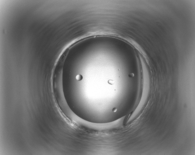 X0000066121246200603131320