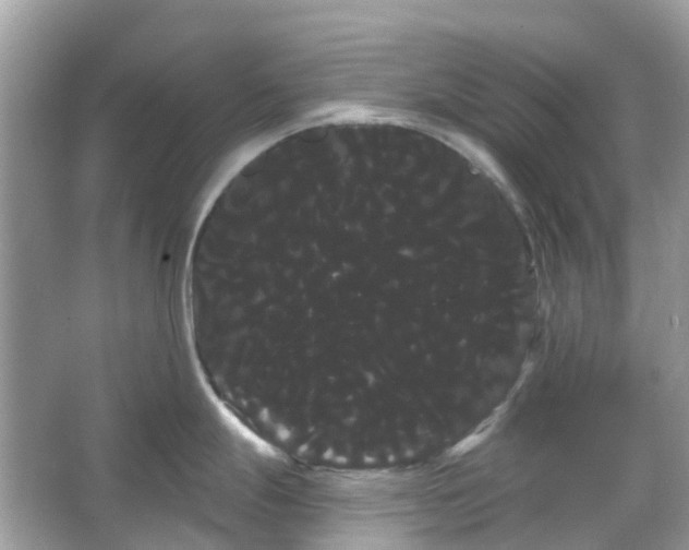 X0000066121247200603131320