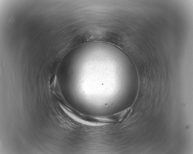 X0000066121250200603131319