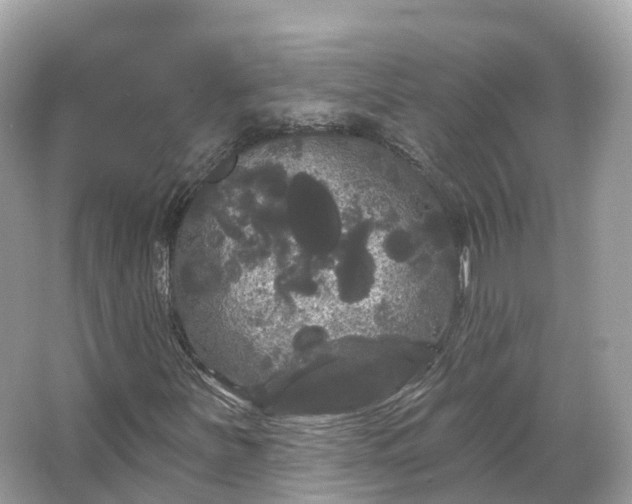 X0000066121251200603131319