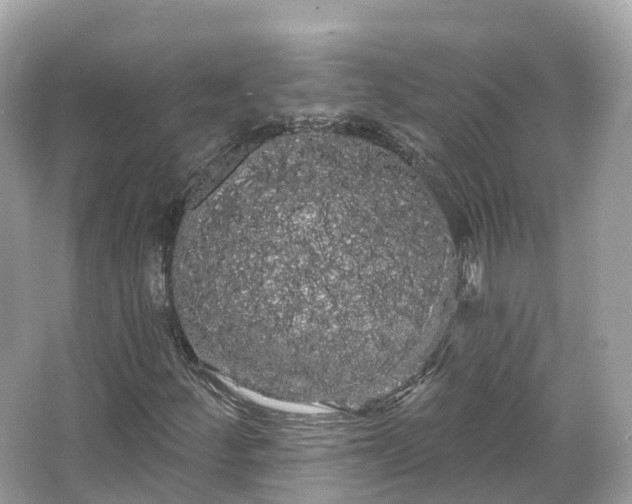 X0000066121252200603131319