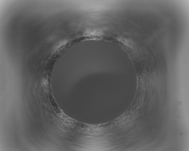 X0000066121254200603131319