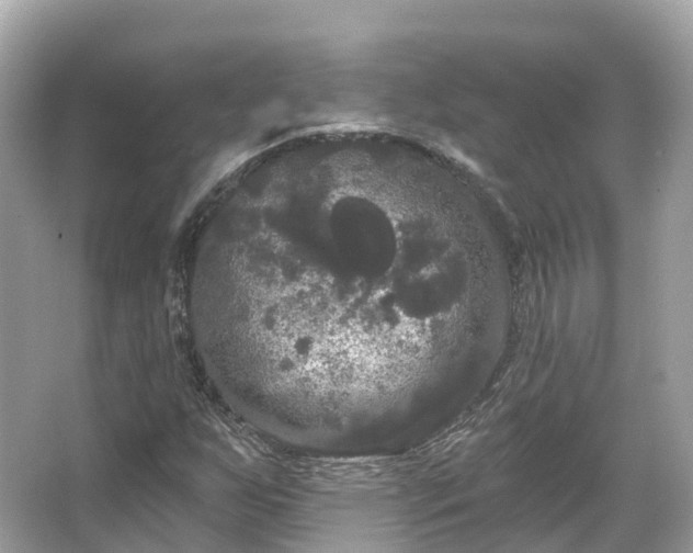 X0000066121255200603131319