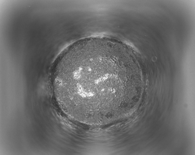 X0000066121256200603131319