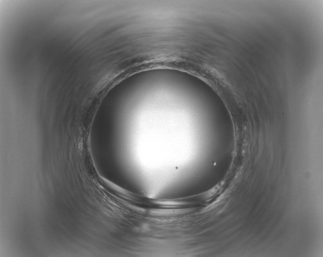 X0000066121257200603131319