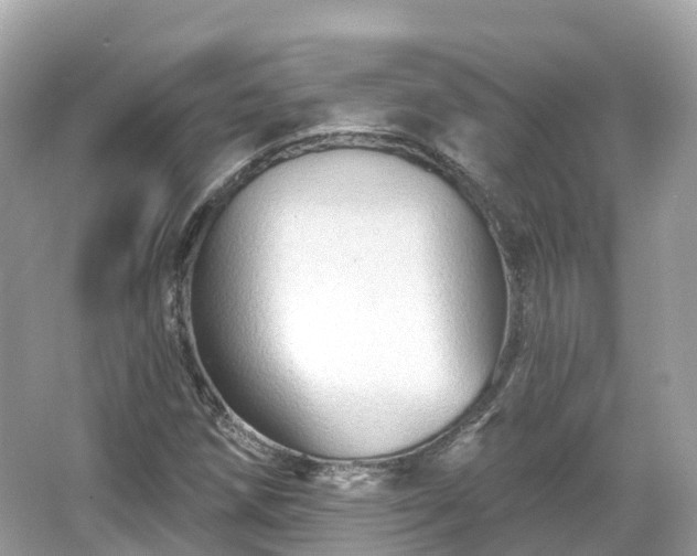 X0000066121258200603131319