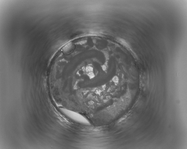 X0000066121260200603131319