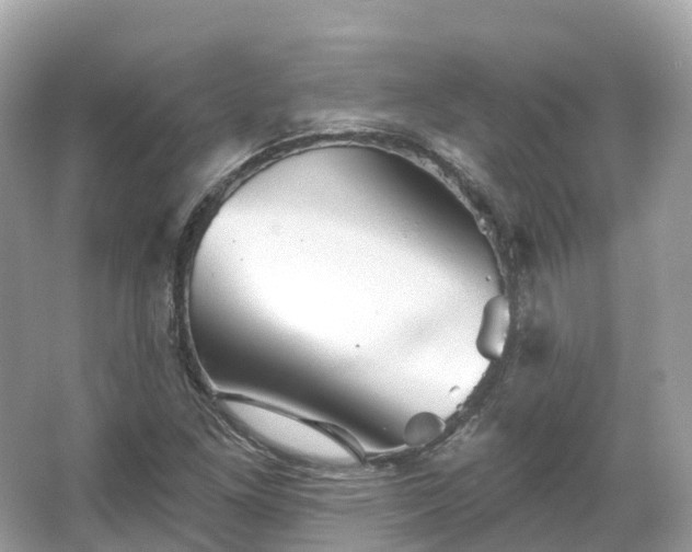 X0000066121261200603131319