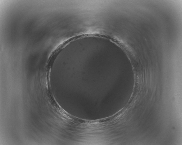 X0000066121262200603131319