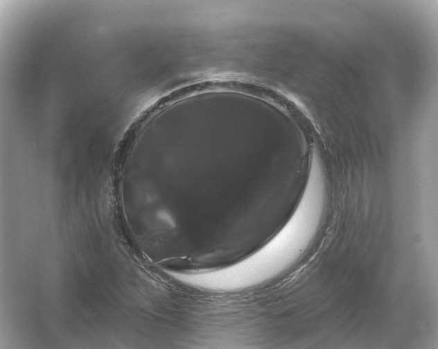 X0000066121263200603131319