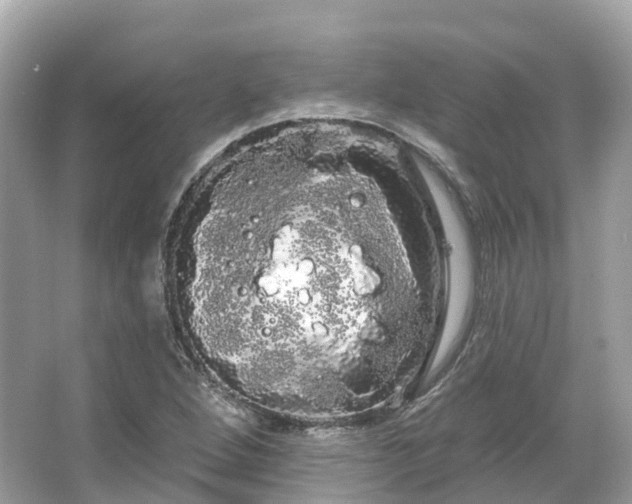 X0000066121264200603131319