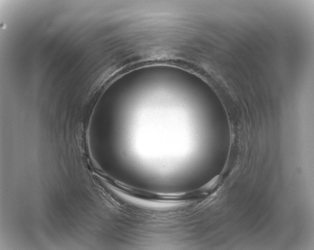 X0000066121265200603131319