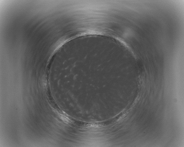 X0000066121266200603131319