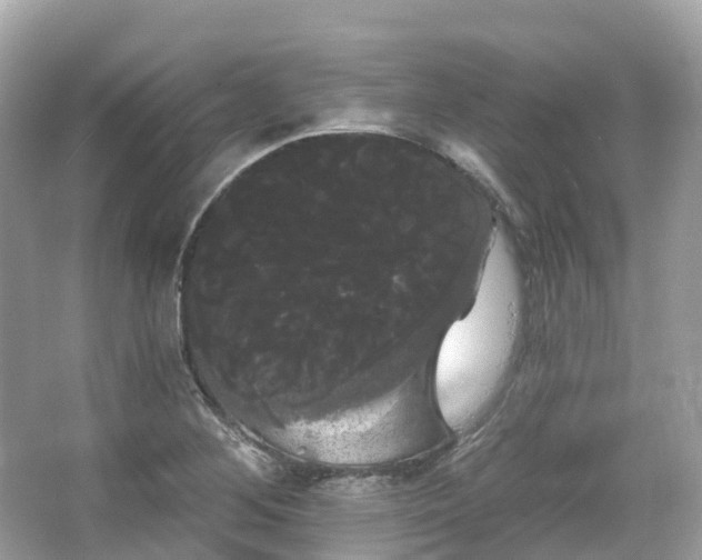 X0000066121268200603131319