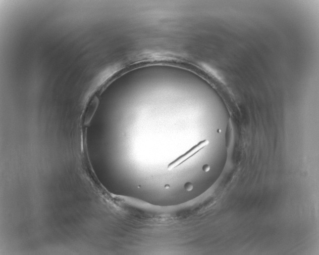 X0000066121269200603131319