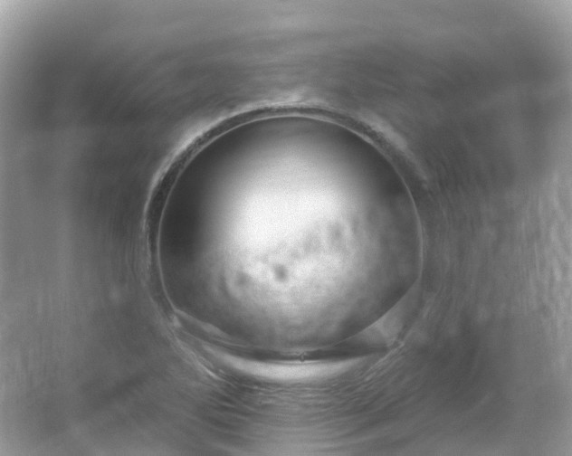 X0000066121270200603131319