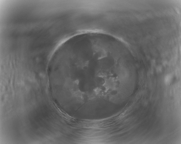 X0000066121271200603131319