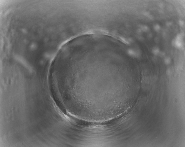 X0000066121272200603131319