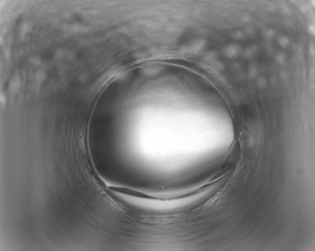 X0000066121273200603131319