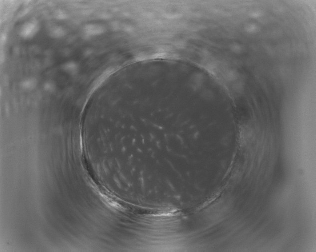 X0000066121274200603131319