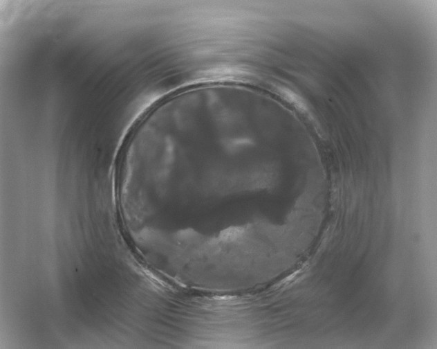 X0000066121275200603131319