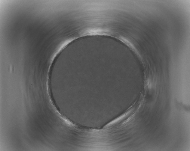 X0000066121277200603131319