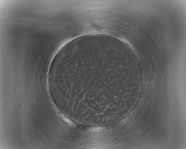 X0000066121278200603131318