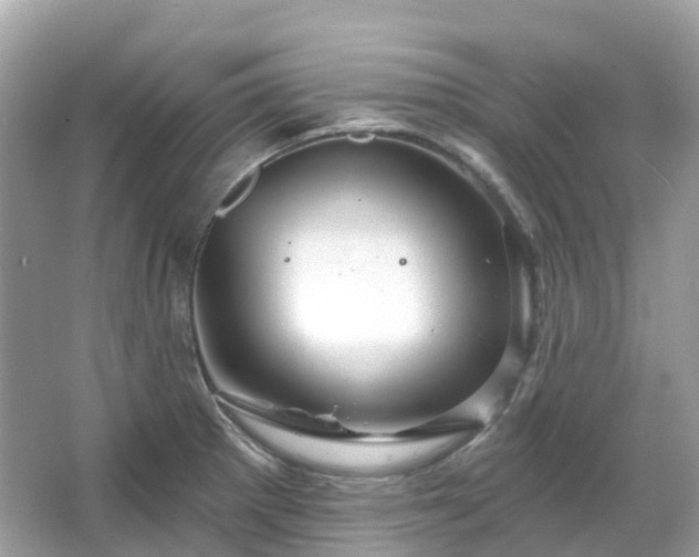 X0000066121281200603131318