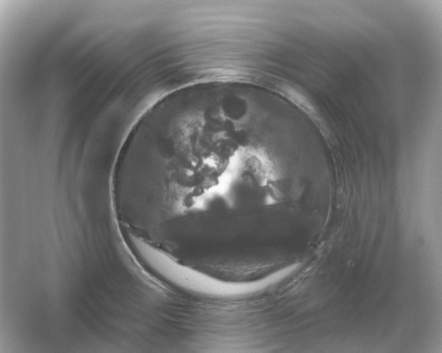 X0000066121283200603131318