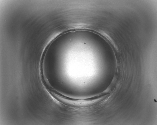 X0000066121285200603131318